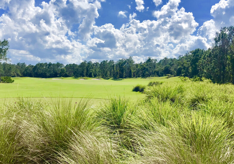 LPGA International Hills course