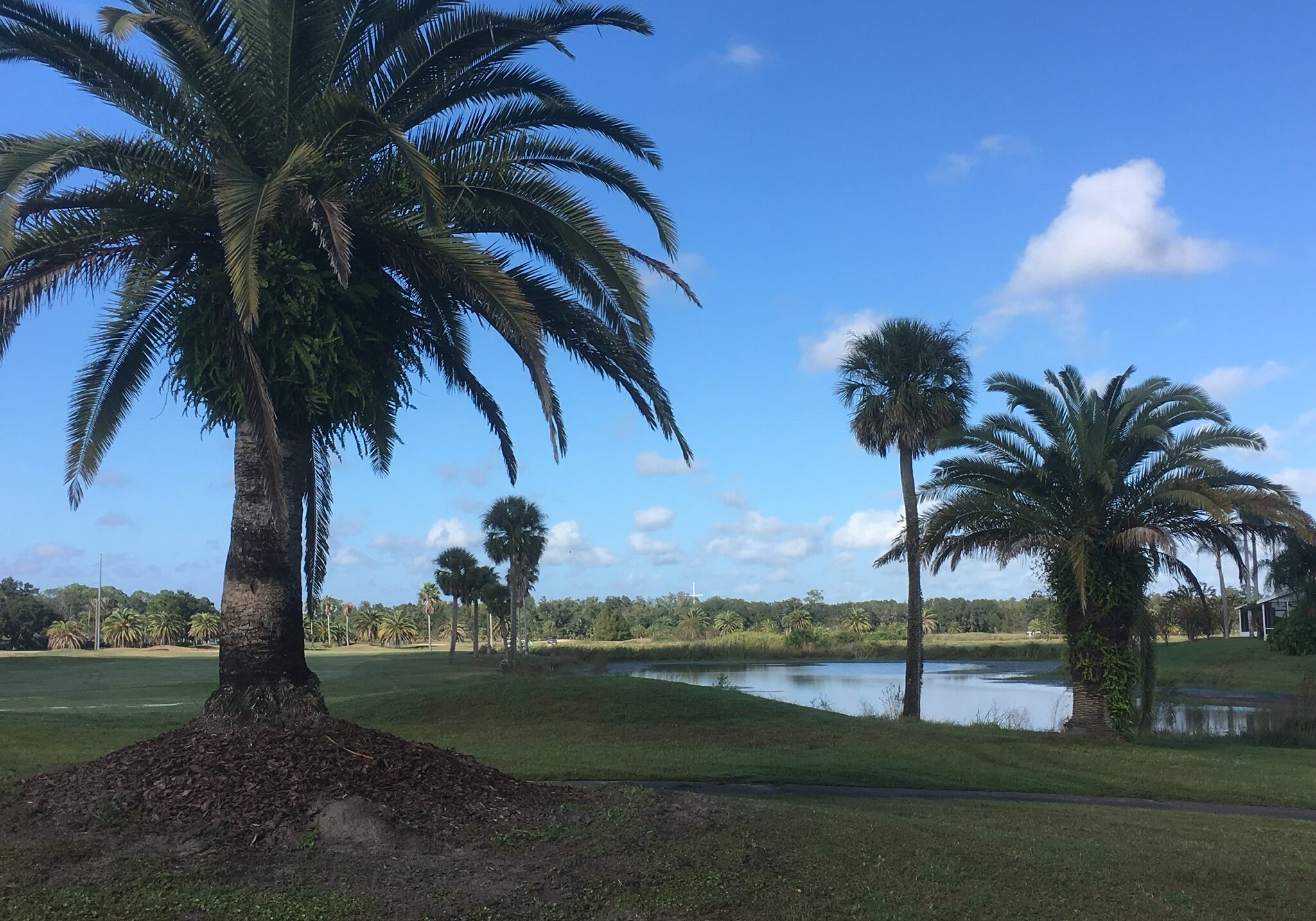 Ridgewood Lake (numer The White Heron Golf Club)