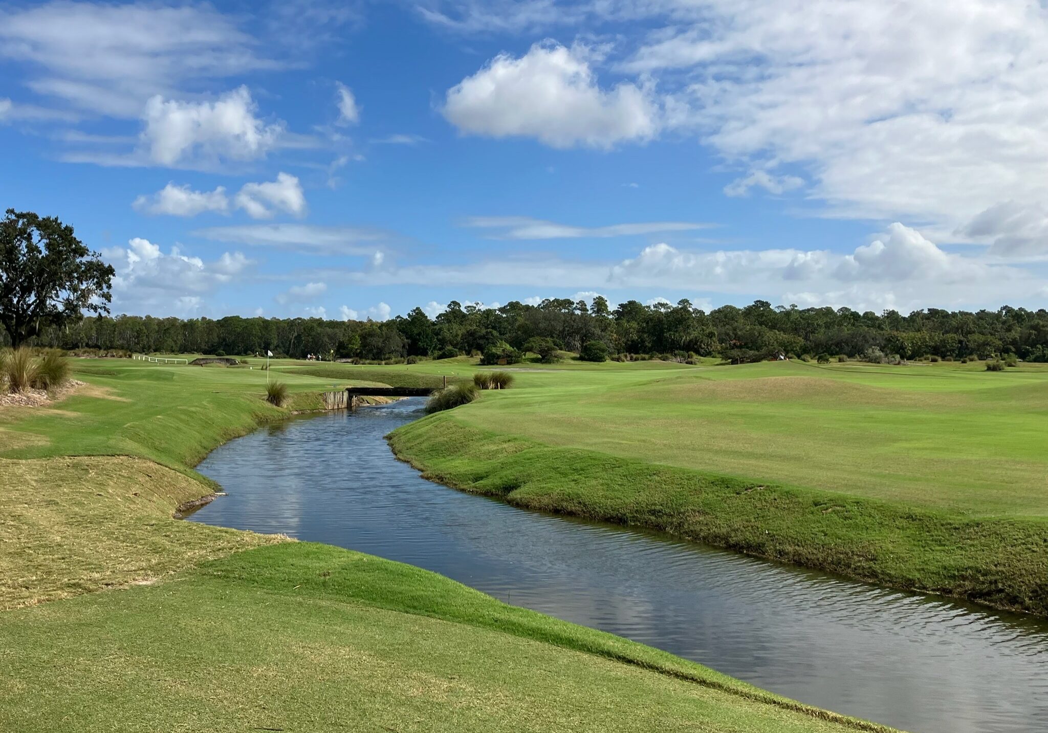 Grand Cypress - Links Course